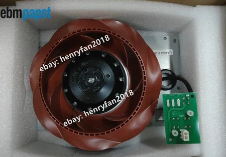 R2E190 RB06 13 0.webp