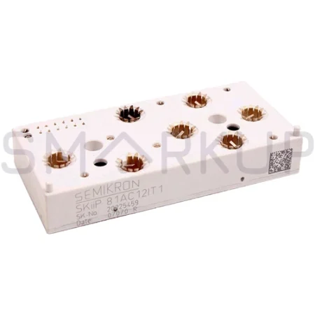 New In Box SEMIKRON SKIIP81AC12IT1 Power Supply Module