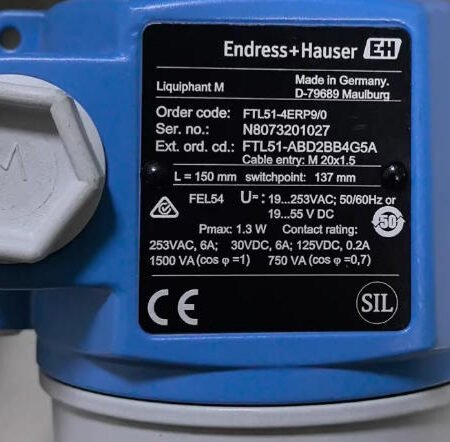 Endress+Hauser tuning fork level switch FTL51-4ERP90